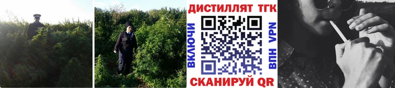маркетплейс клад  Троицк  ТГК Wax  KRAKEN маркетплейс 