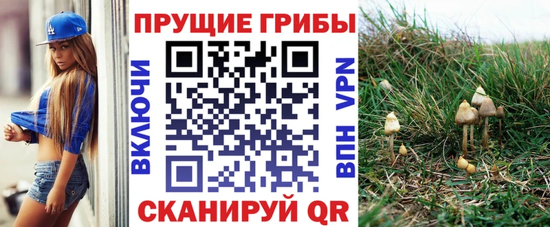 Псилоцибиновые грибы мицелий  гидра ТОР  Троицк 
